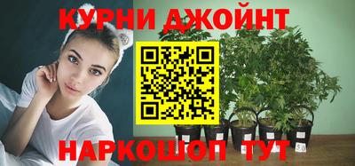 скорость Будённовск