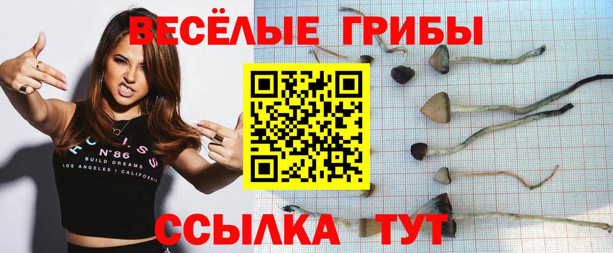 Галлюциногенные грибы прущие грибы Санкт-Петербург
