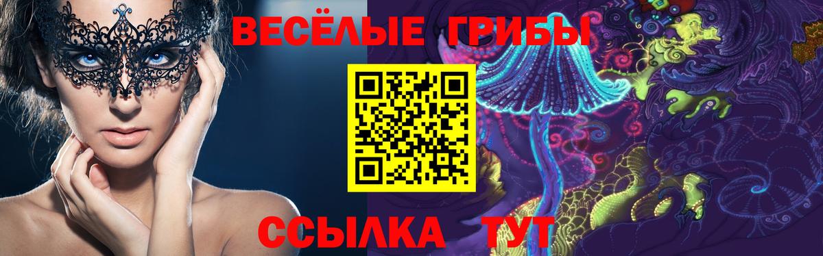 Санкт-Петербург  Псилоцибиновые грибы Psilocybine cubensis  Вход с VPN 